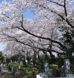墓石・霊園・納骨