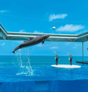 上越市立水族博物館うみがたり
