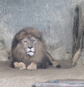 熊本市動植物園