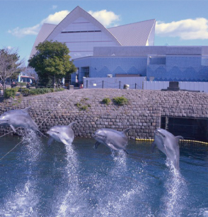 いおワールドかごしま水族館